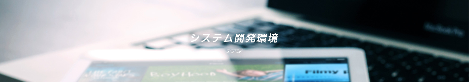 システム開発環境 SYSTEM