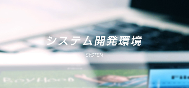 システム開発環境 SYSTEM